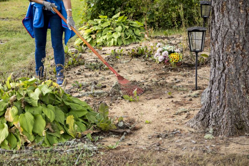 Clearing Land in Greenville