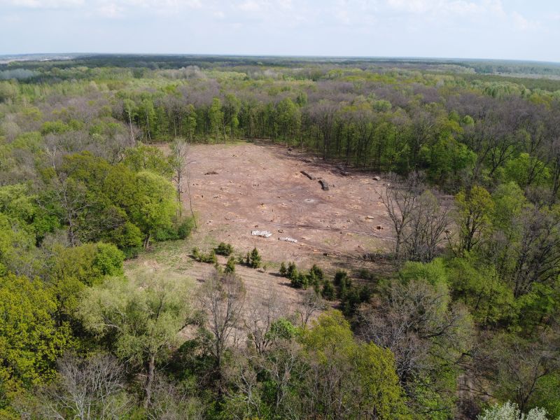 What’s Involved In Professional Land Clearing?