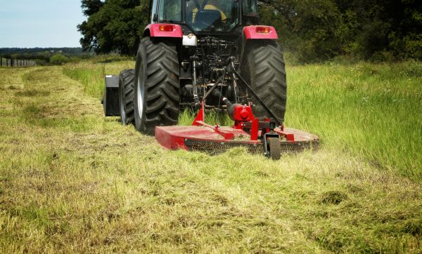 Cost of Brush Clearing Service in Greenville