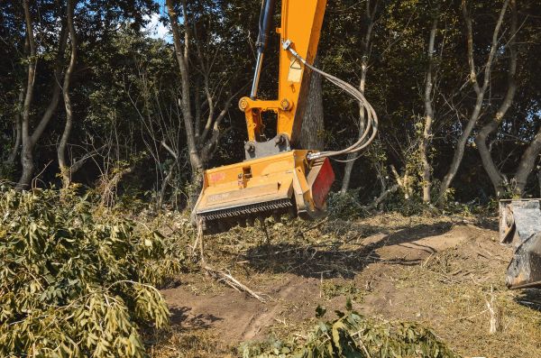 Cost of Brush Removal Service in Greenville